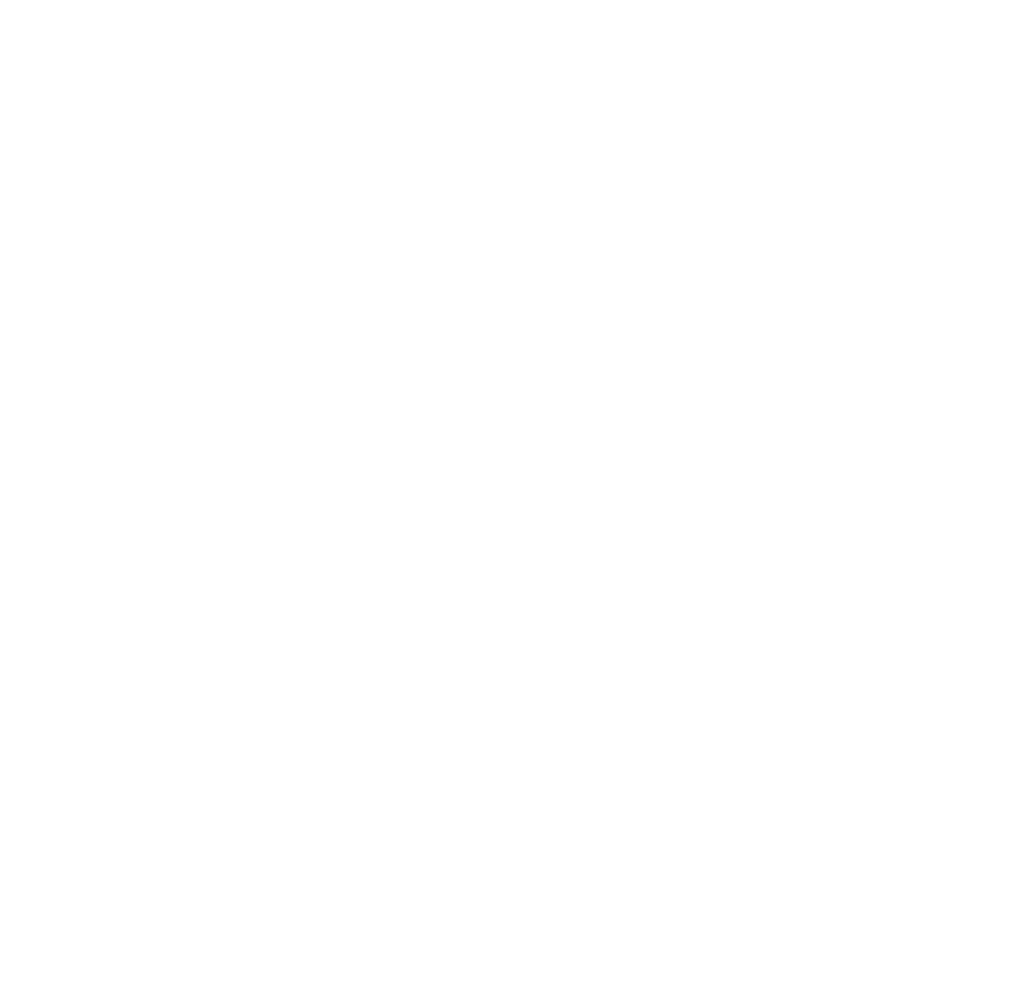 Big Five Group logo (hero / dark)